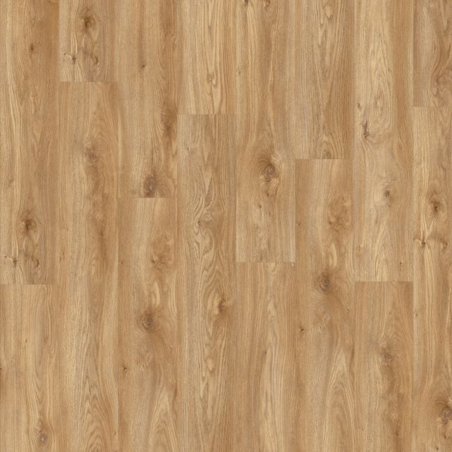 Moduleo Roots 0,55 Sierra Oak 58346
