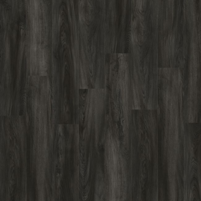 Moduleo Next Aragon Oak 991