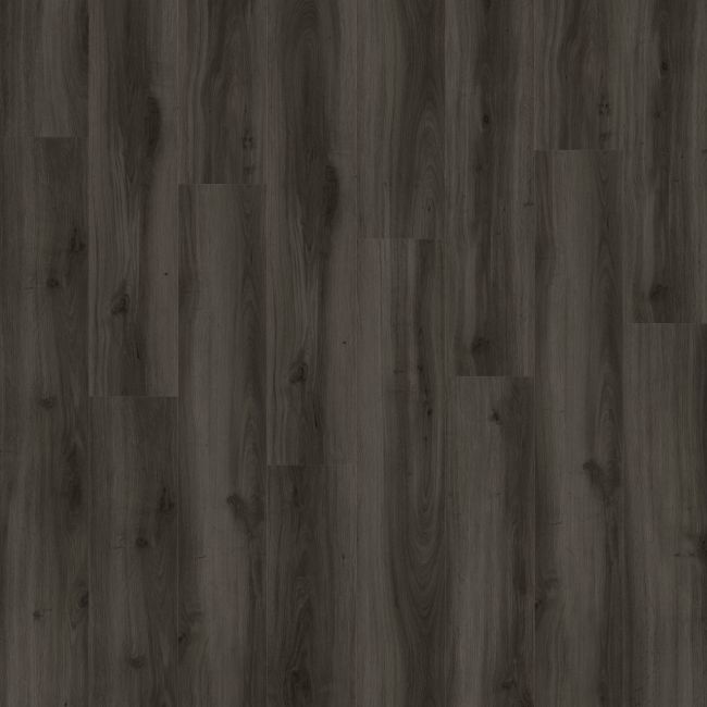Moduleo Next Acoustic Tradition Oak 890
