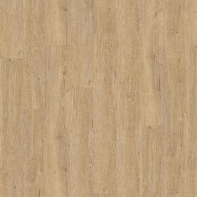 ADELAR Eterna Acoustic 05325 Sebastian Oak