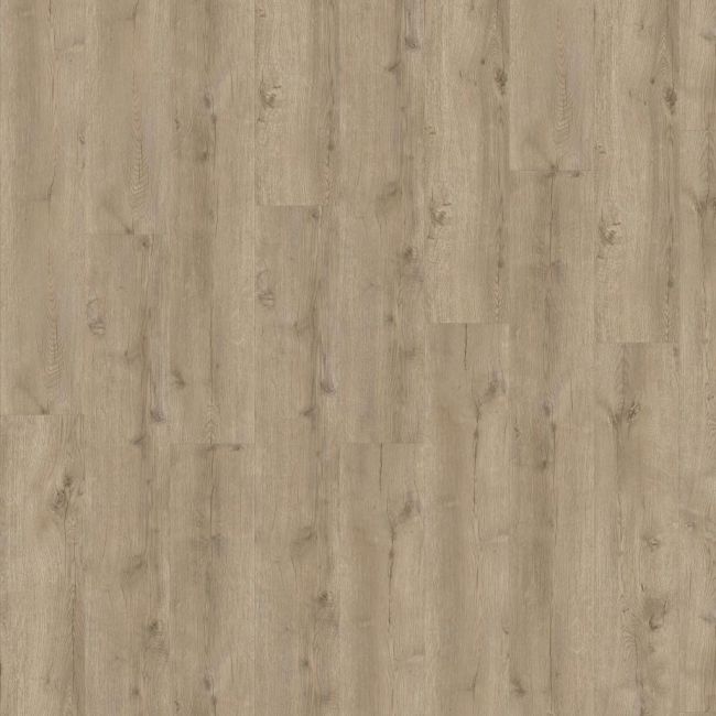 ADELAR Eterna Acoustic 05829 Major Oak