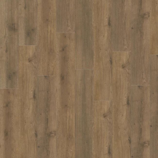 ADELAR Eterna Acoustic 05855 Major Oak