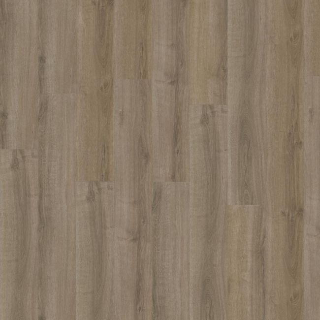 ADELAR Eterna Acoustic 05859 Summer Oak