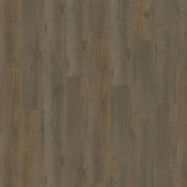ADELAR Eterna Acoustic 05871 Major Oak