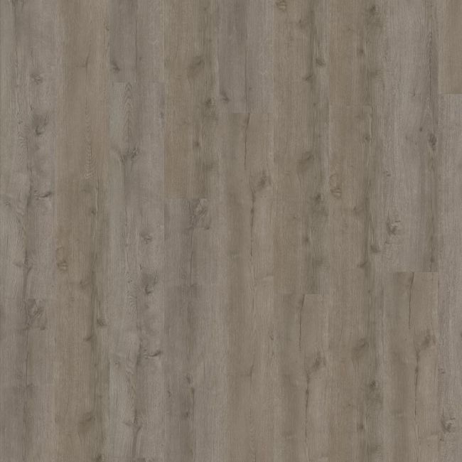 ADELAR Eterna Acoustic 05929 Major Oak