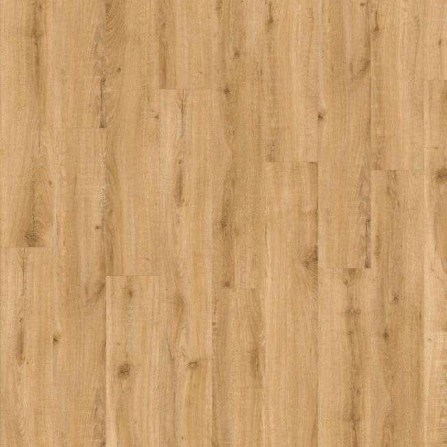 ADELAR Solida Acoustic 04270 European Oak