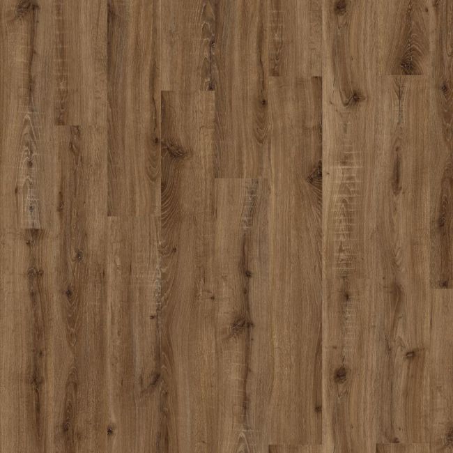 ADELAR Solida Acoustic 04870 European Oak