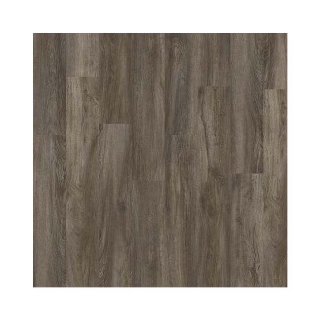 QS BLOS Дуб Чиа AVSPU40280