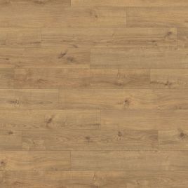 TRITTY 100 4V Дуб Портлэнд Натур 533123 T100